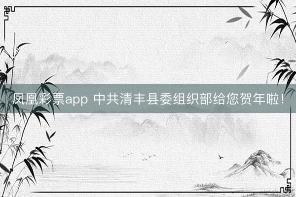 凤凰彩票app 中共清丰县委组织部给您贺年啦！