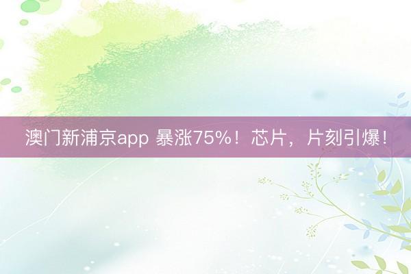 澳门新浦京app 暴涨75%！芯片，片刻引爆！