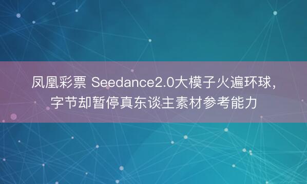 凤凰彩票 Seedance2.0大模子火遍环球,字节却暂停真东谈主素材参考能力